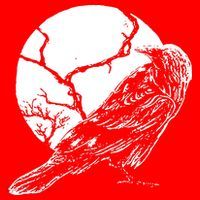Horror Graphic Raven And Moon Santa Hat thumb 1
