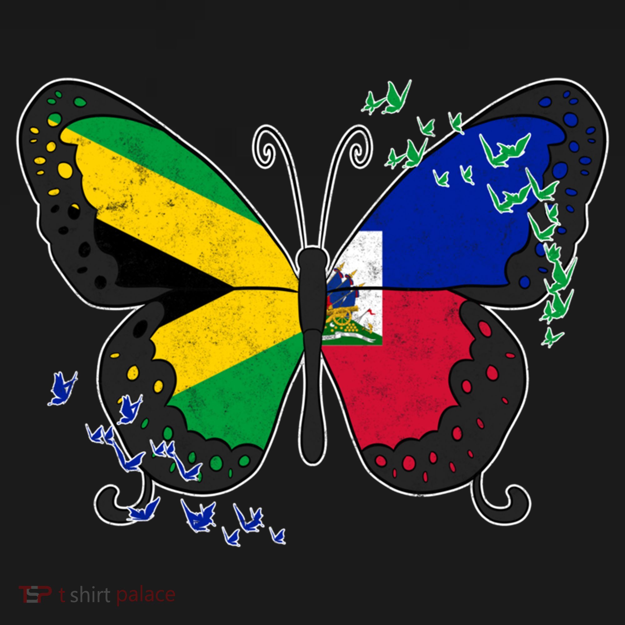 Haiti Haitian America Jamaica Caribbean Combo Butterfly Dna Gift Women's Hoodie