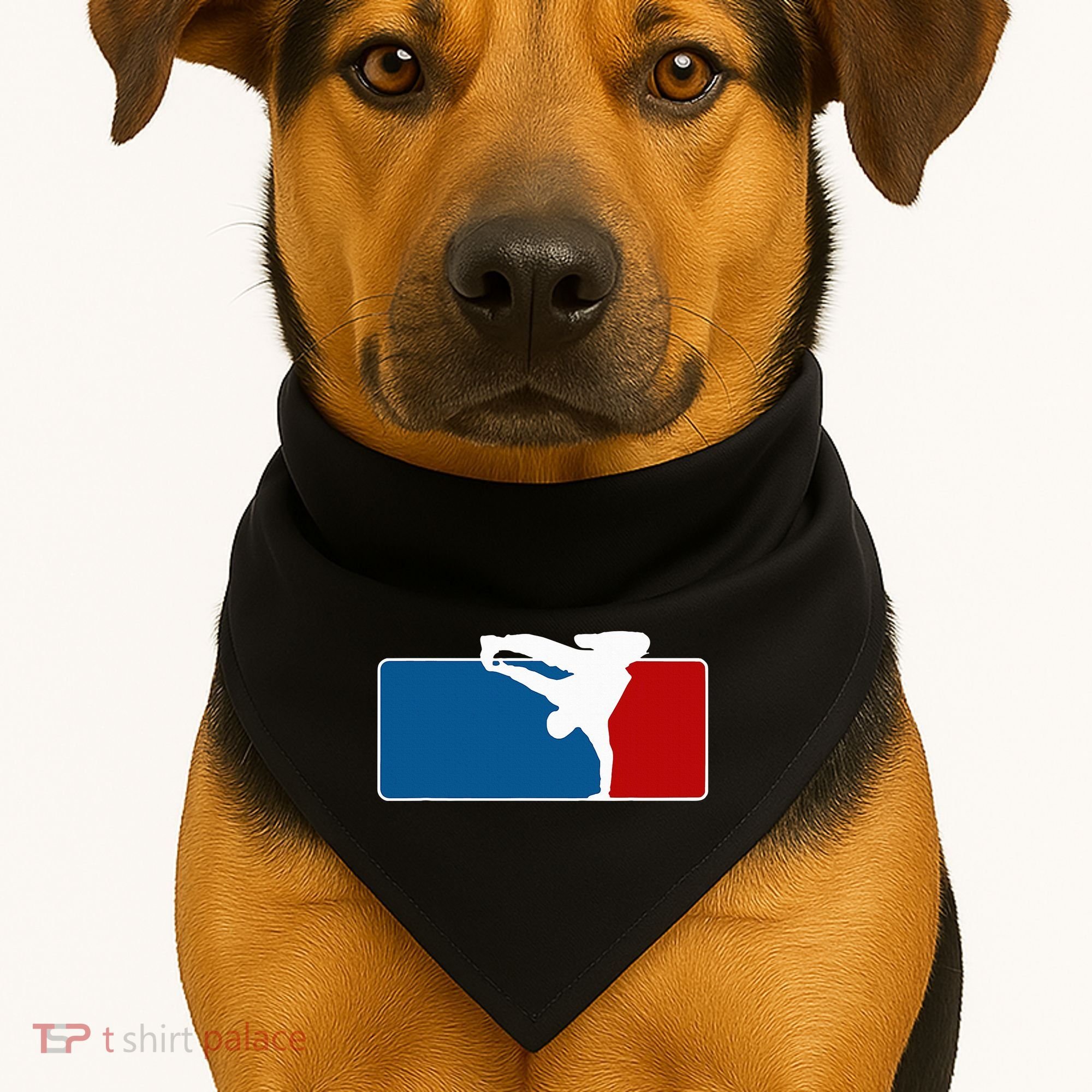 Hip Hop Bboy Breakdance Pose Street Dance Popping USA-Made Doggie Bandana