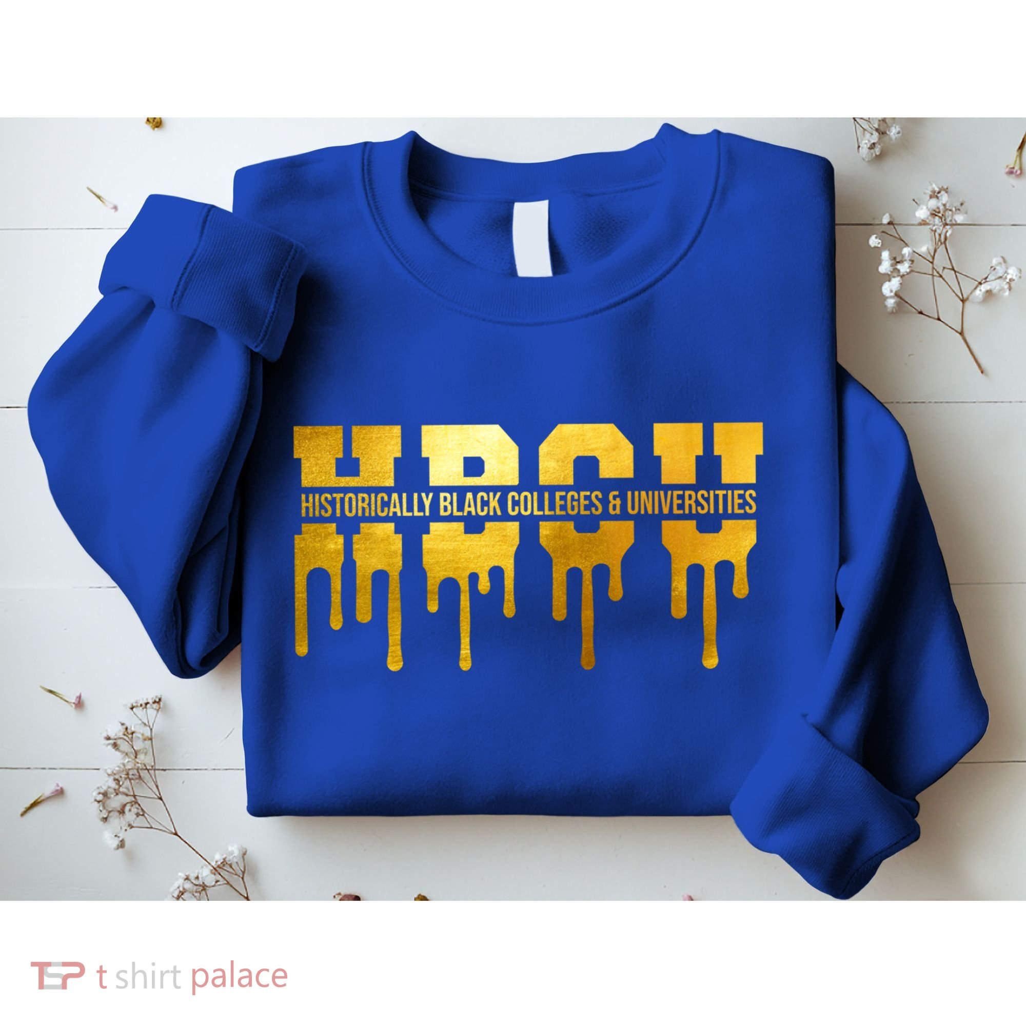Hbcu Historically Black Colleges Universities Black History Cool Gift Sweatshirt
