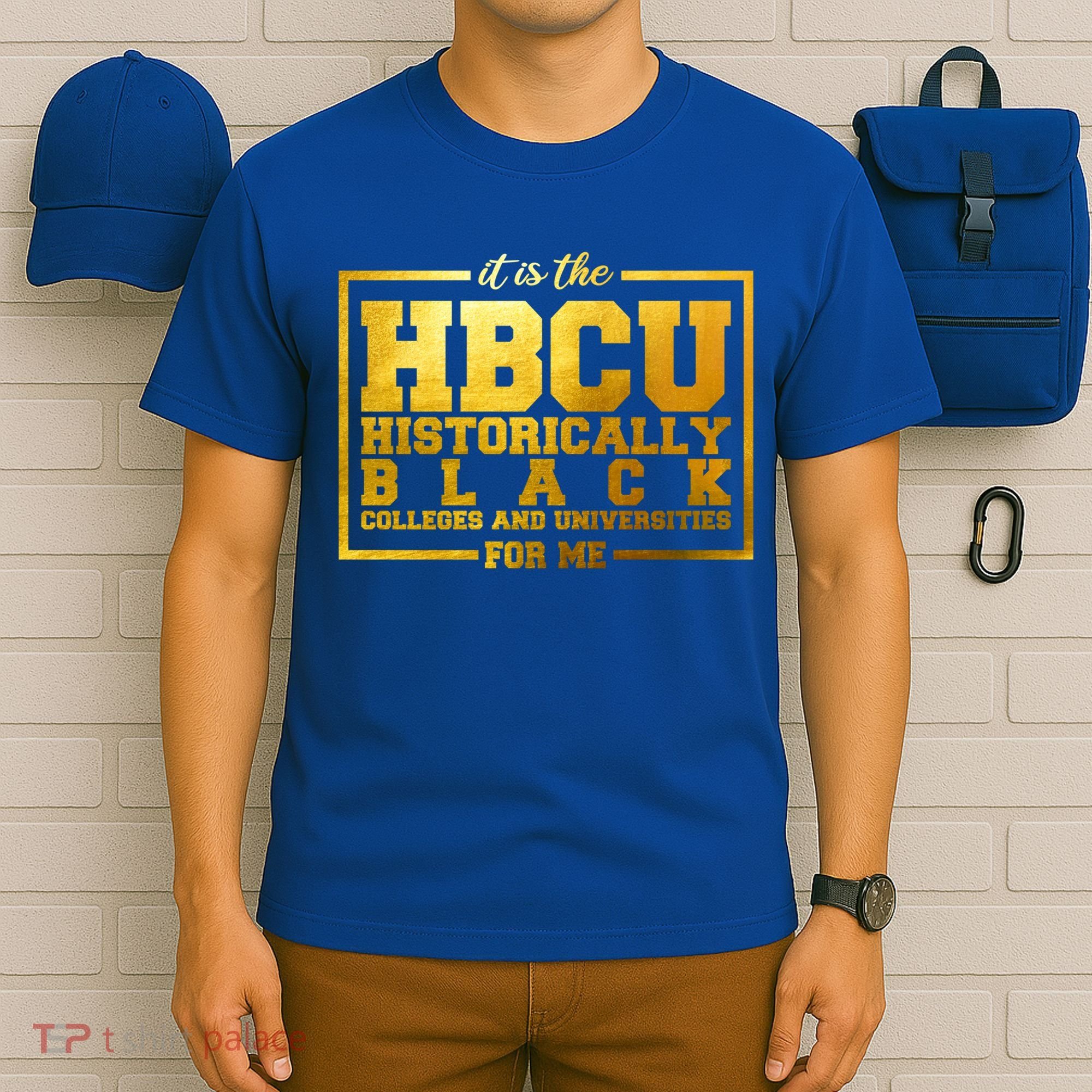 Hbcu Historically Black Colleges Universities Black History Gift T-Shirt