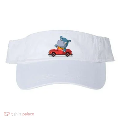 Visor
