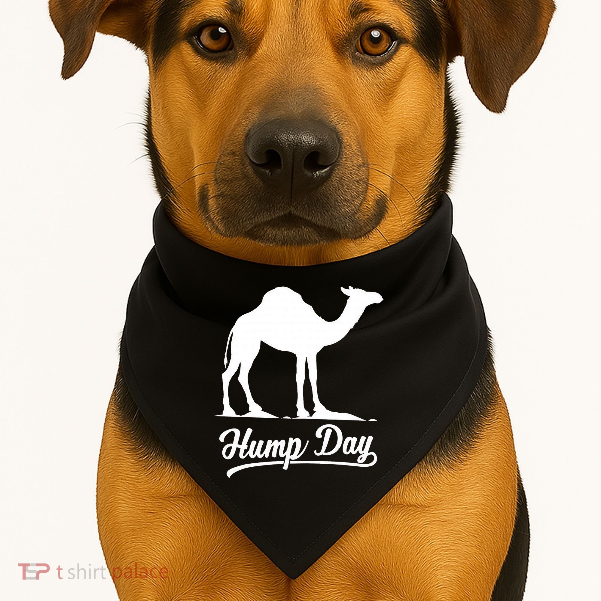 Happy Hump Day Tees Guess Camel Hump Day USA-Made Doggie Bandana