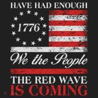 Have Had Enough We The People The Red Wave Is Coming Beanie thumb 2