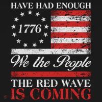 Have Had Enough We The People The Red Wave Is Coming Women's Hoodie thumb 2