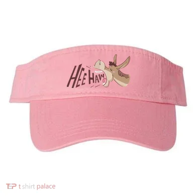 Visor