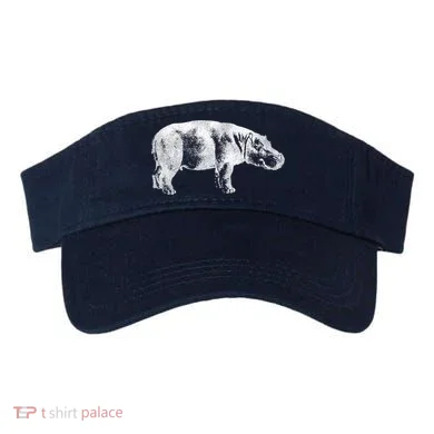 Visor