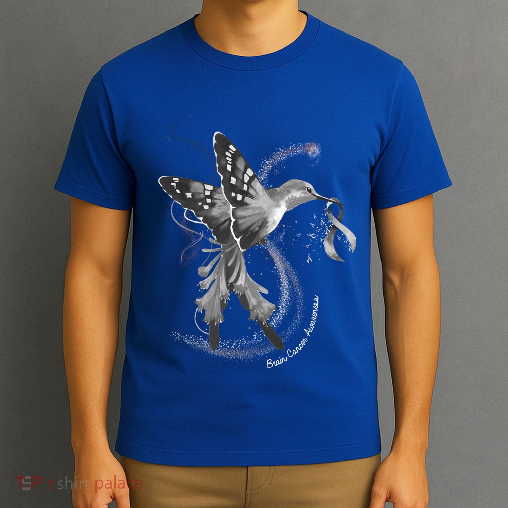 Hummingbird Holding Gray Ribbon Brain Cancer Awareness Cool Gift T-Shirt