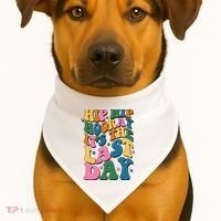 Hip Hip Hooray Its The Last Day Schools Out USA-Made Doggie Bandana thumb 1