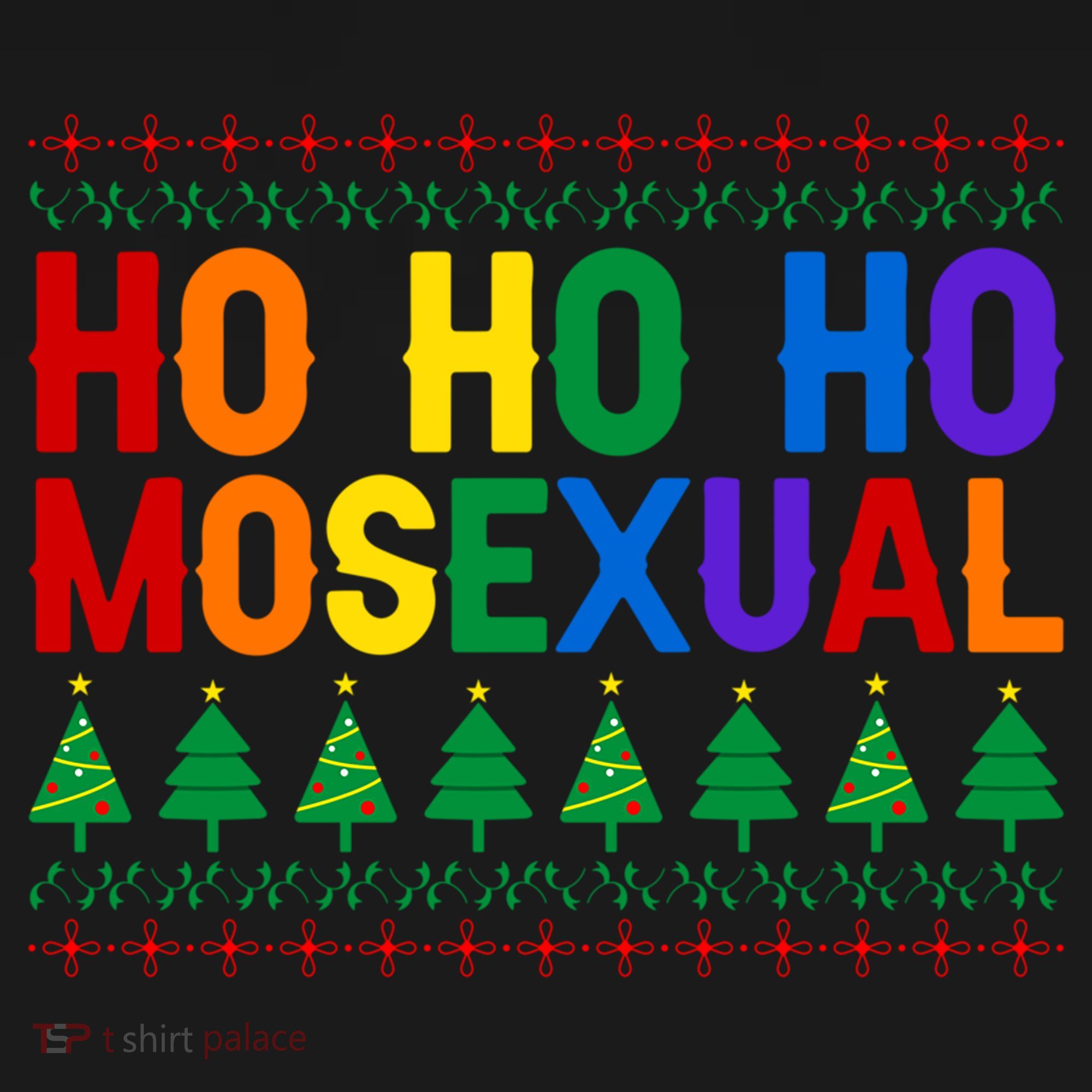 Ho Ho Homosexual Ugly Xmas Sweater Funny Lgbt Christmas Gift Women's Hoodie
