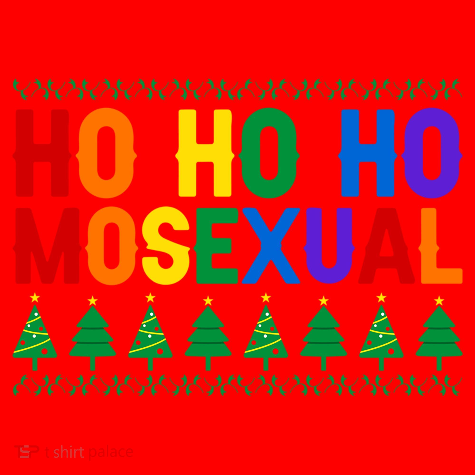 Ho Ho Homosexual Ugly Xmas Sweater Funny Lgbt Christmas Gift Santa Hat