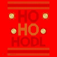 Ho Ho Hodl Crypto Currency Ugly Christmas Santa Hat thumb 1