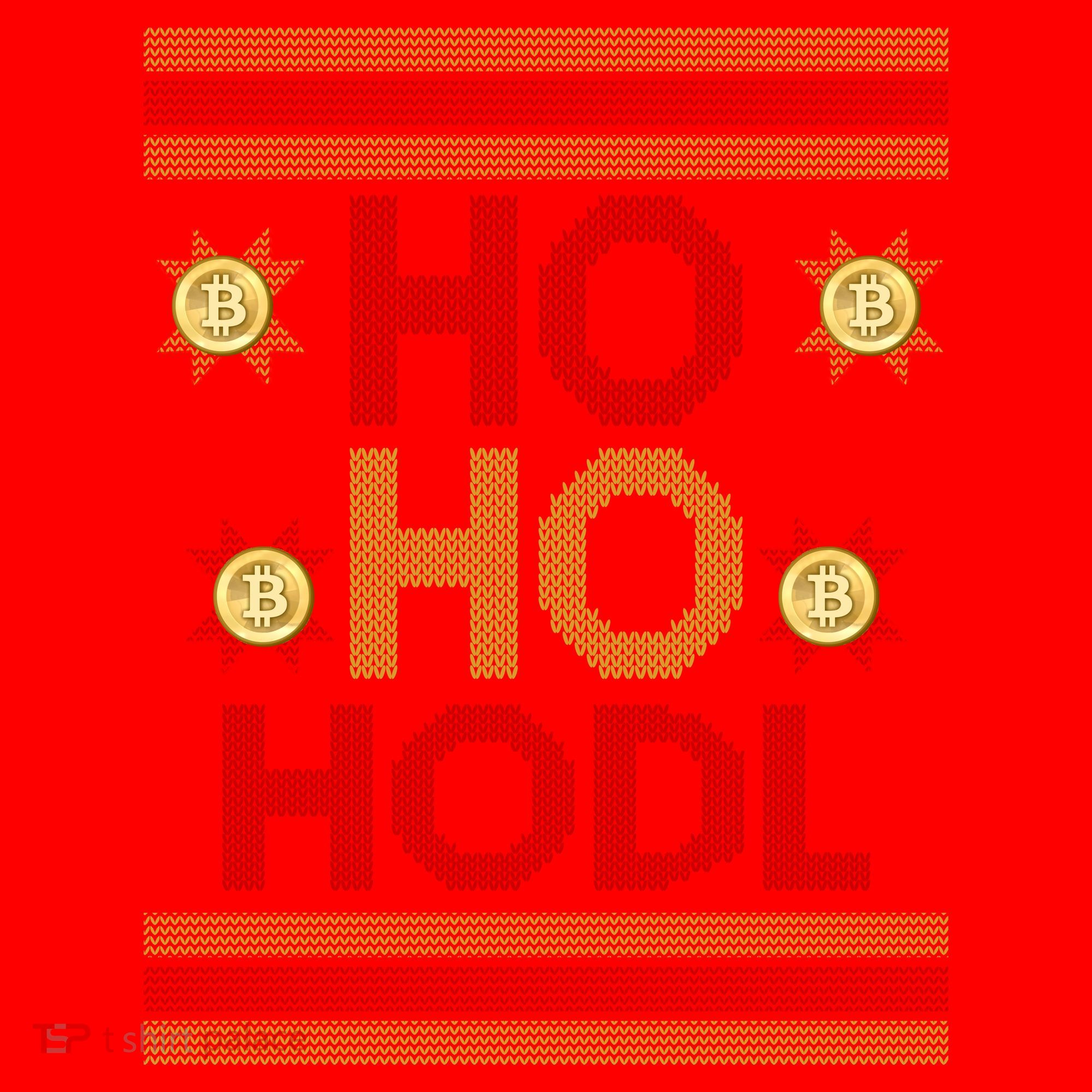 Ho Ho Hodl Crypto Currency Ugly Christmas Santa Hat