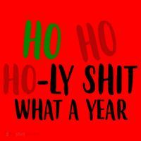 Ho Ho Holy Sh*t What A Year Funny Christmas Santa Hat thumb 1