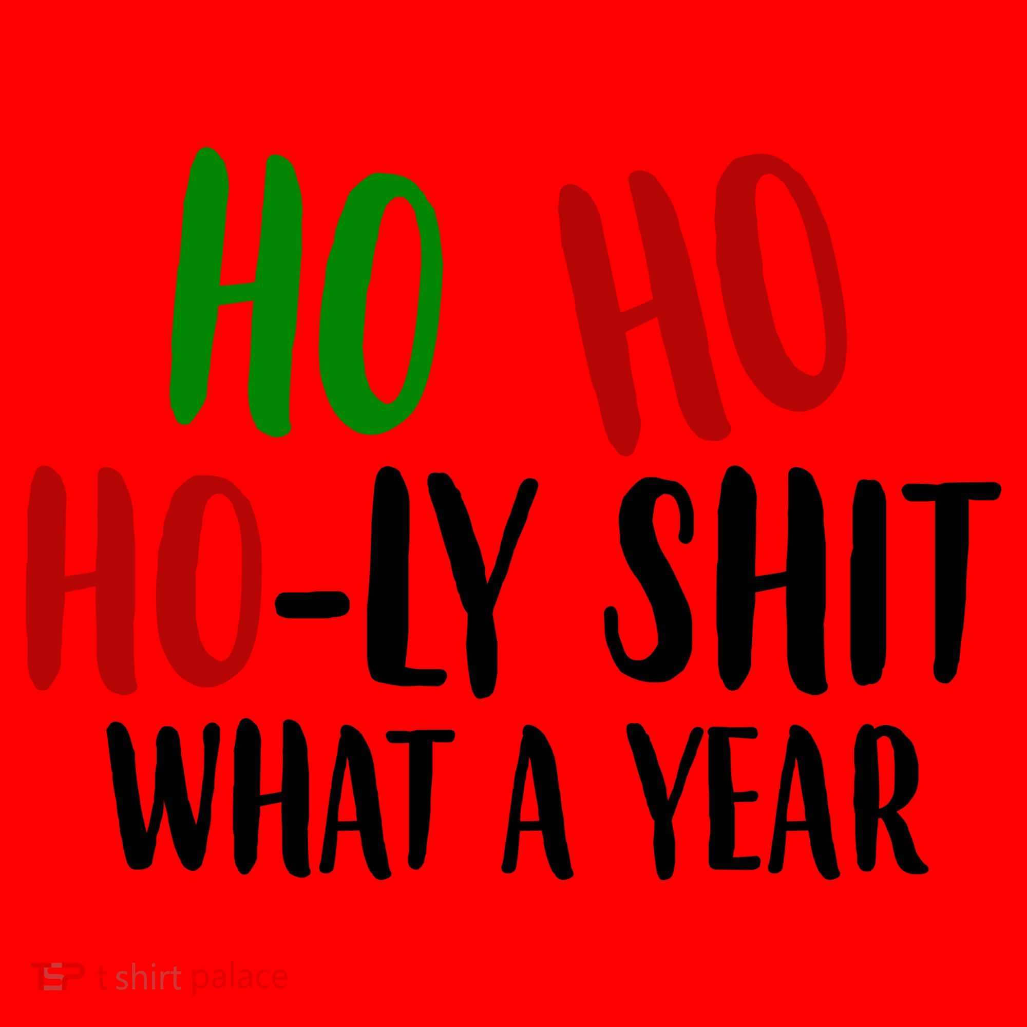 Ho Ho Holy Sh*t What A Year Funny Christmas Santa Hat