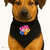 Happy Holi India Hindu Celebration USA-Made Doggie Bandana thumb 1