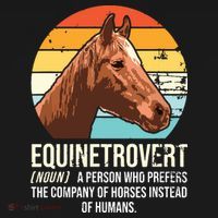 Horse Horse Lover Tee Equestrian Tee Retro Horse Sweatshirt thumb 3