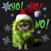 Ho Ho No Funny Bad Cat Christmas Women's Hoodie thumb 2