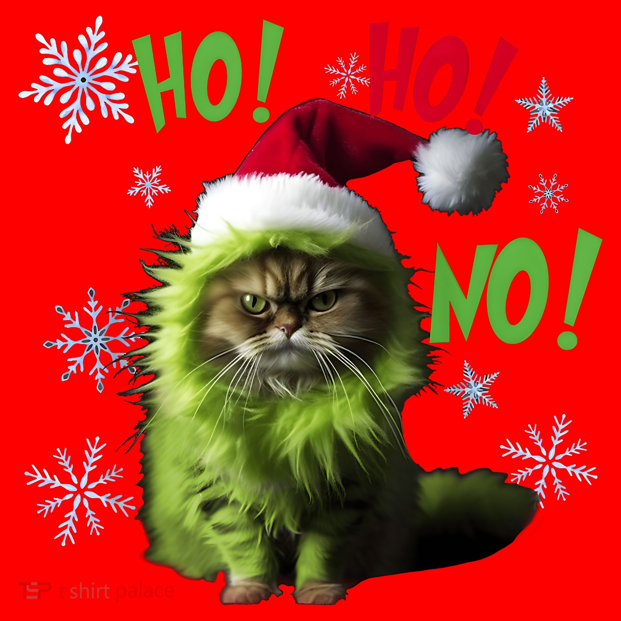 Ho Ho No Funny Bad Cat Christmas Santa Hat