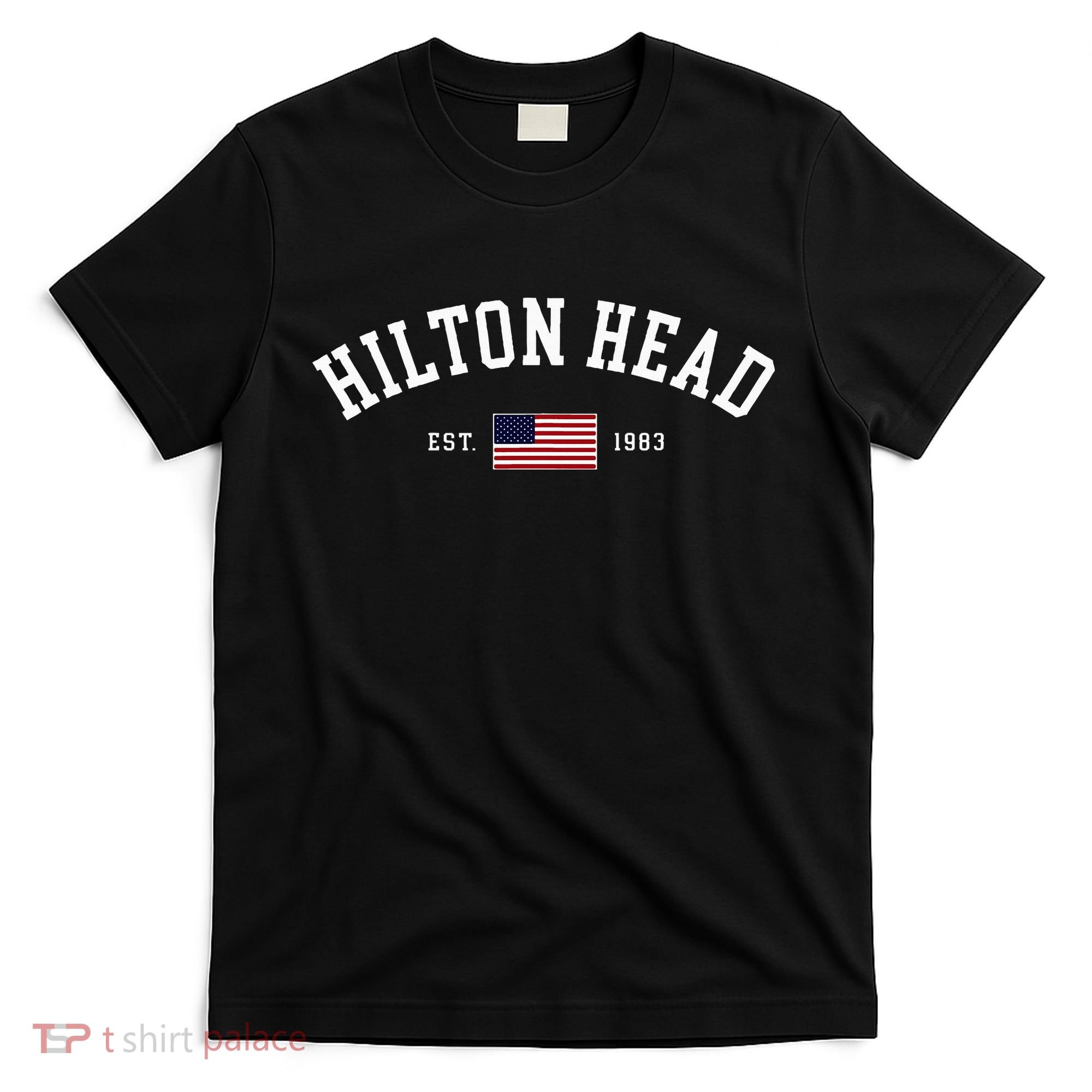 Hilton Head South Carolina Us Flag Vintage Souvenir T-Shirt