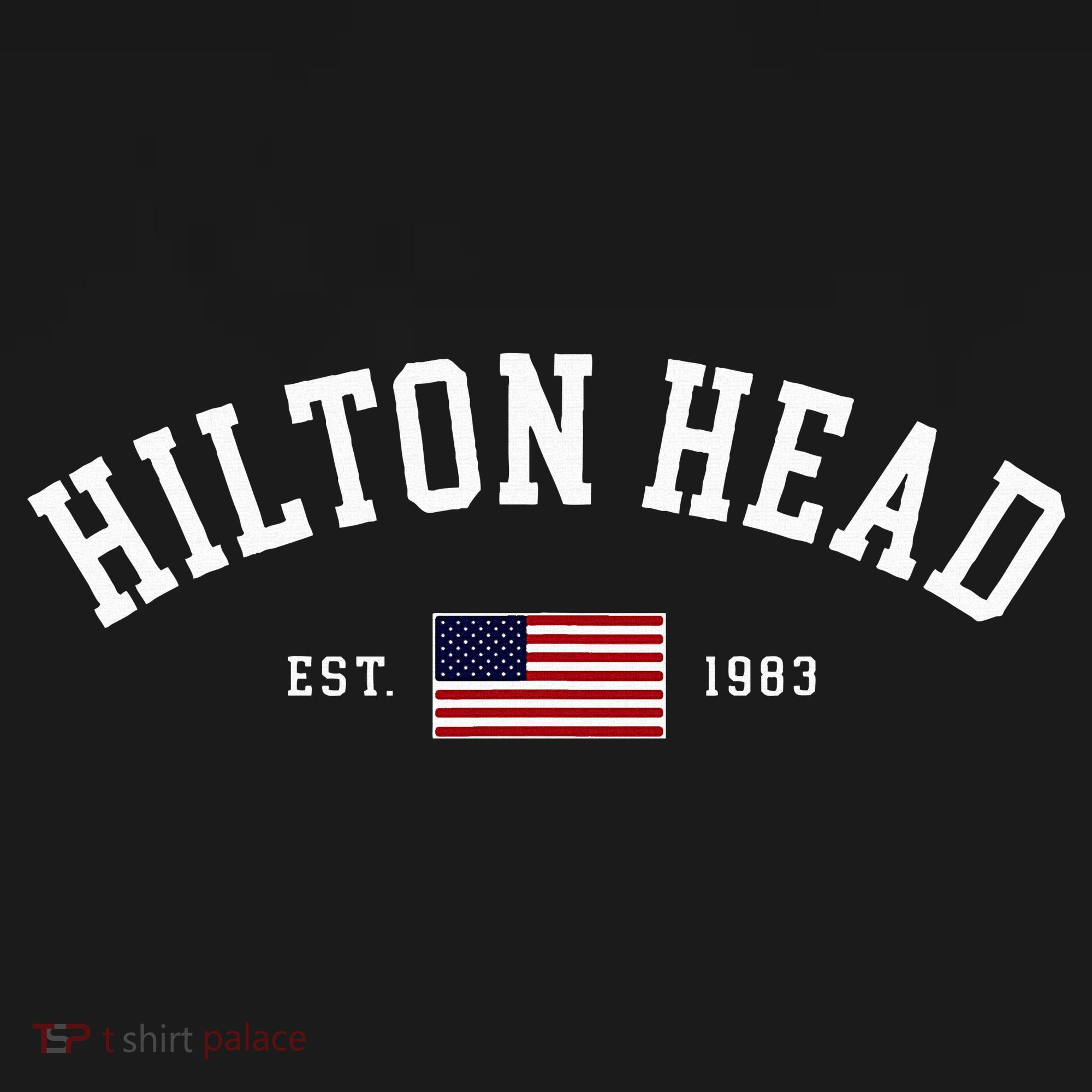 Hilton Head South Carolina Us Flag Vintage Souvenir T-Shirt