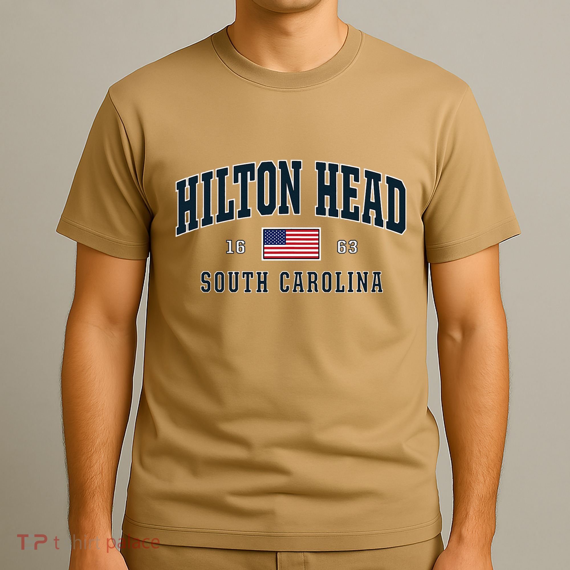 Hilton Head Sc South Carolina Usa Flag Patriotic T-Shirt