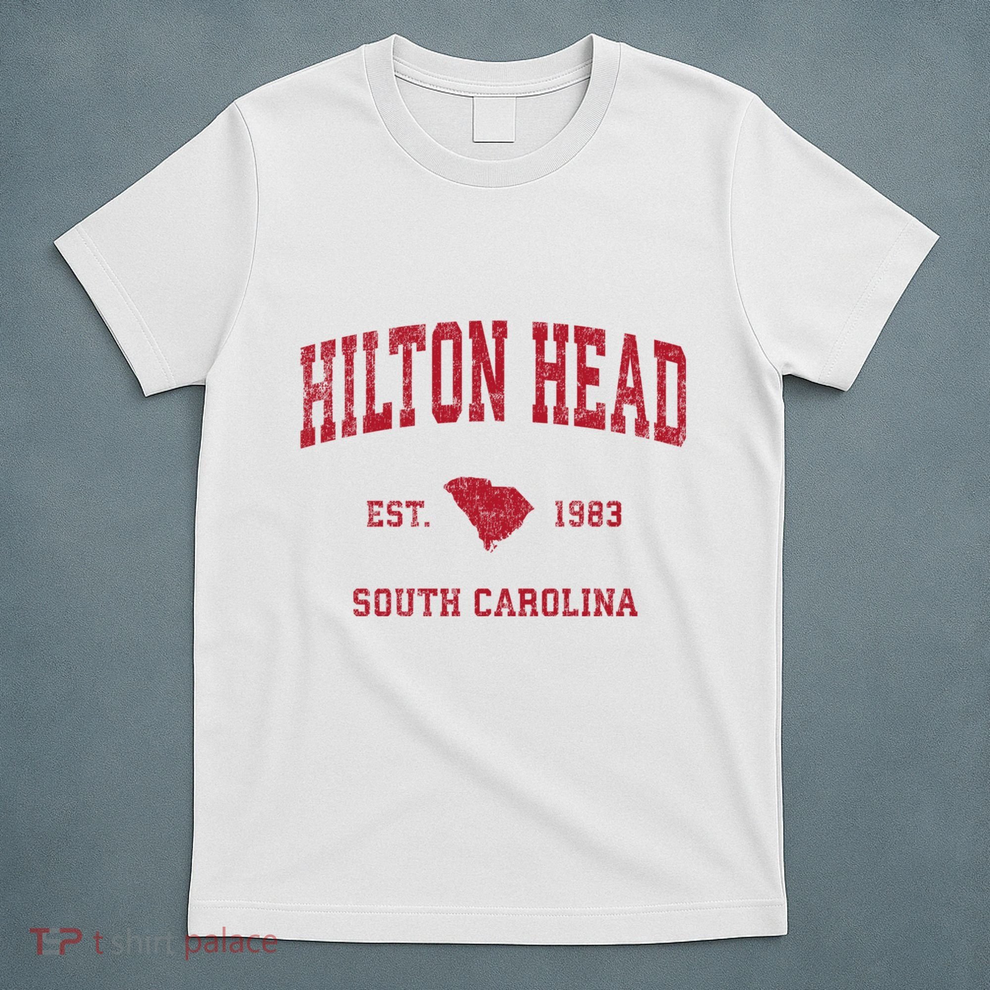 Hilton Head South Carolina Sc Vintage Sports T-Shirt