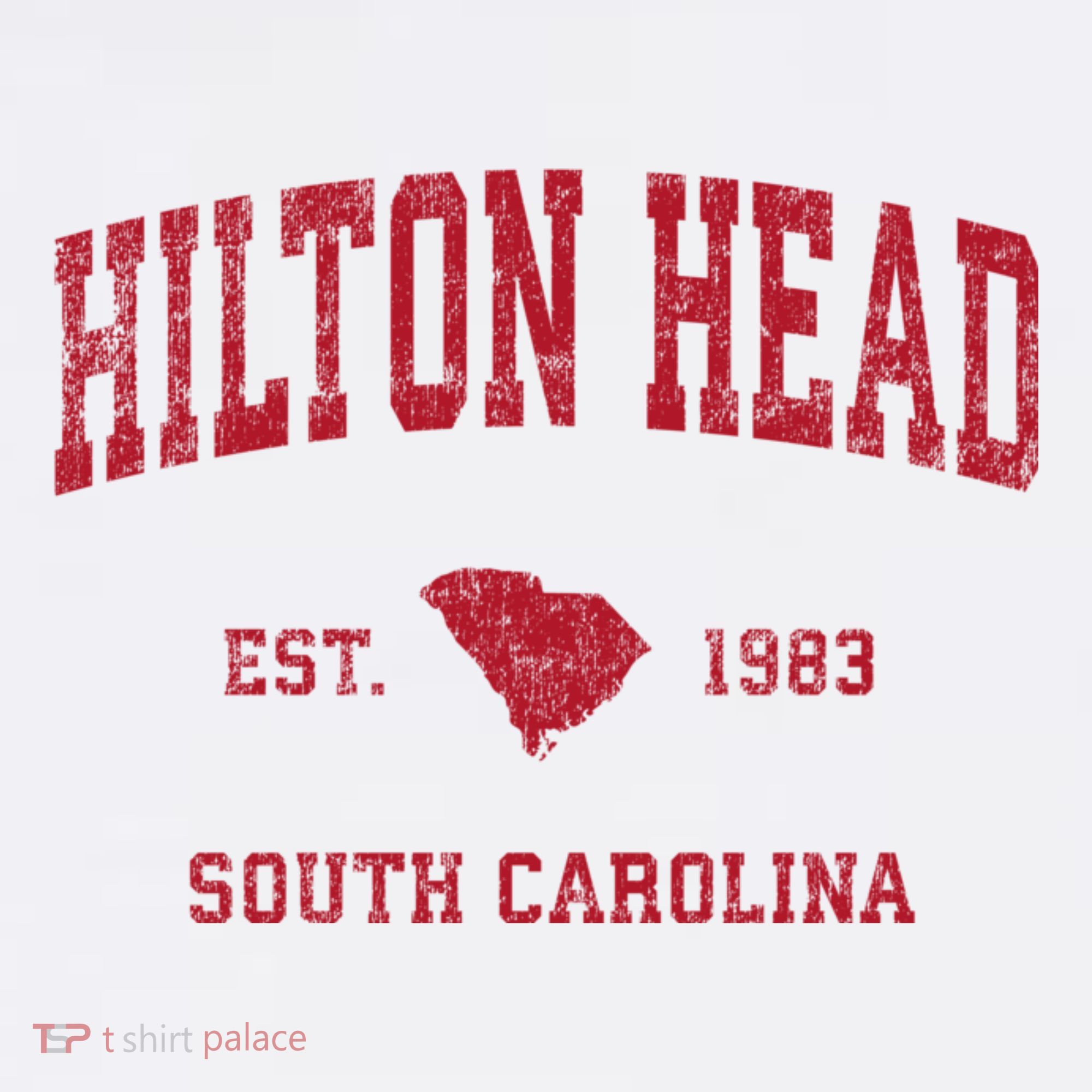 Hilton Head South Carolina Sc Vintage Sports T-Shirt