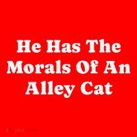 He Has The Morals Of An Alley Cat Santa Hat thumb 1