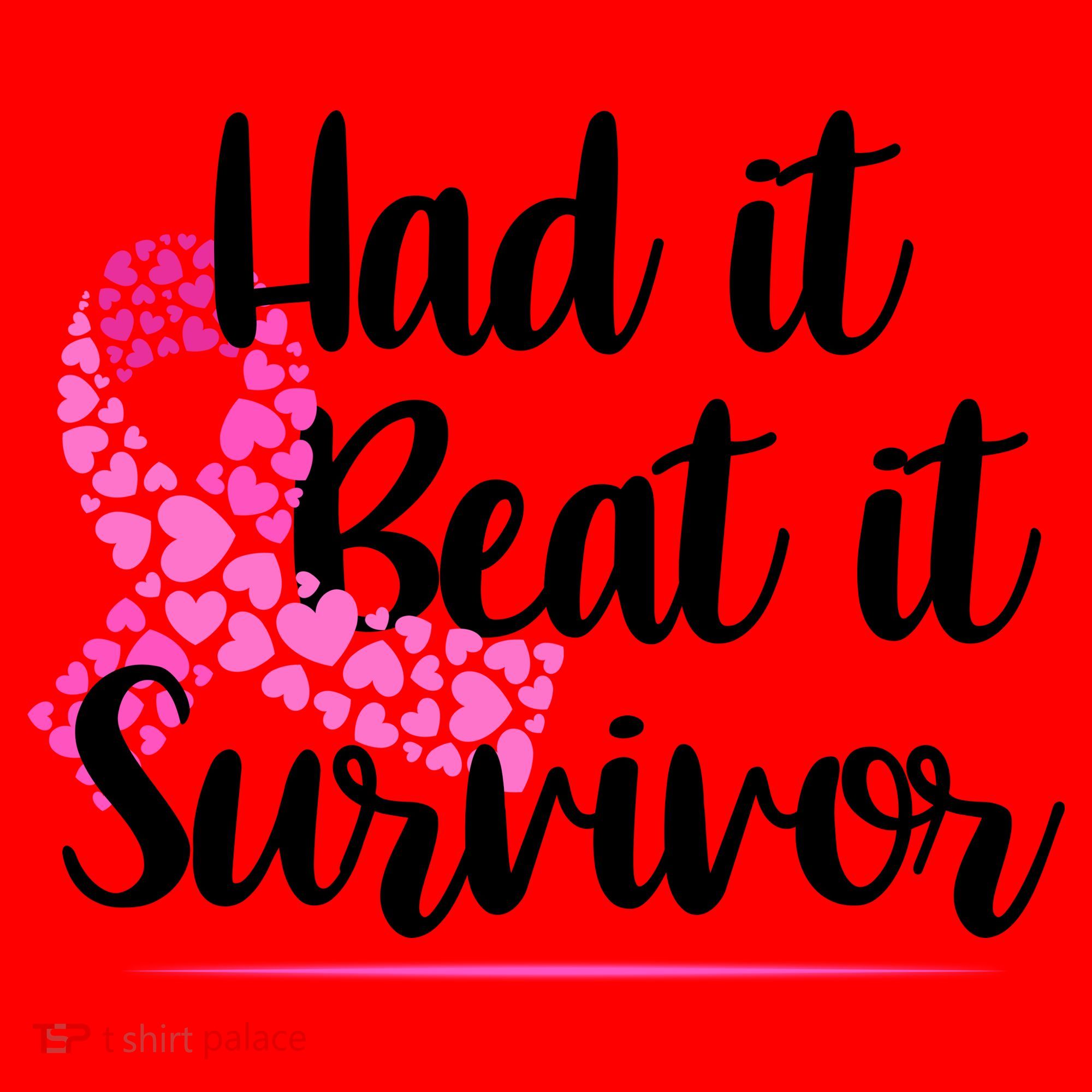 Had It Beat It Survivor Breast Cancer Santa Hat