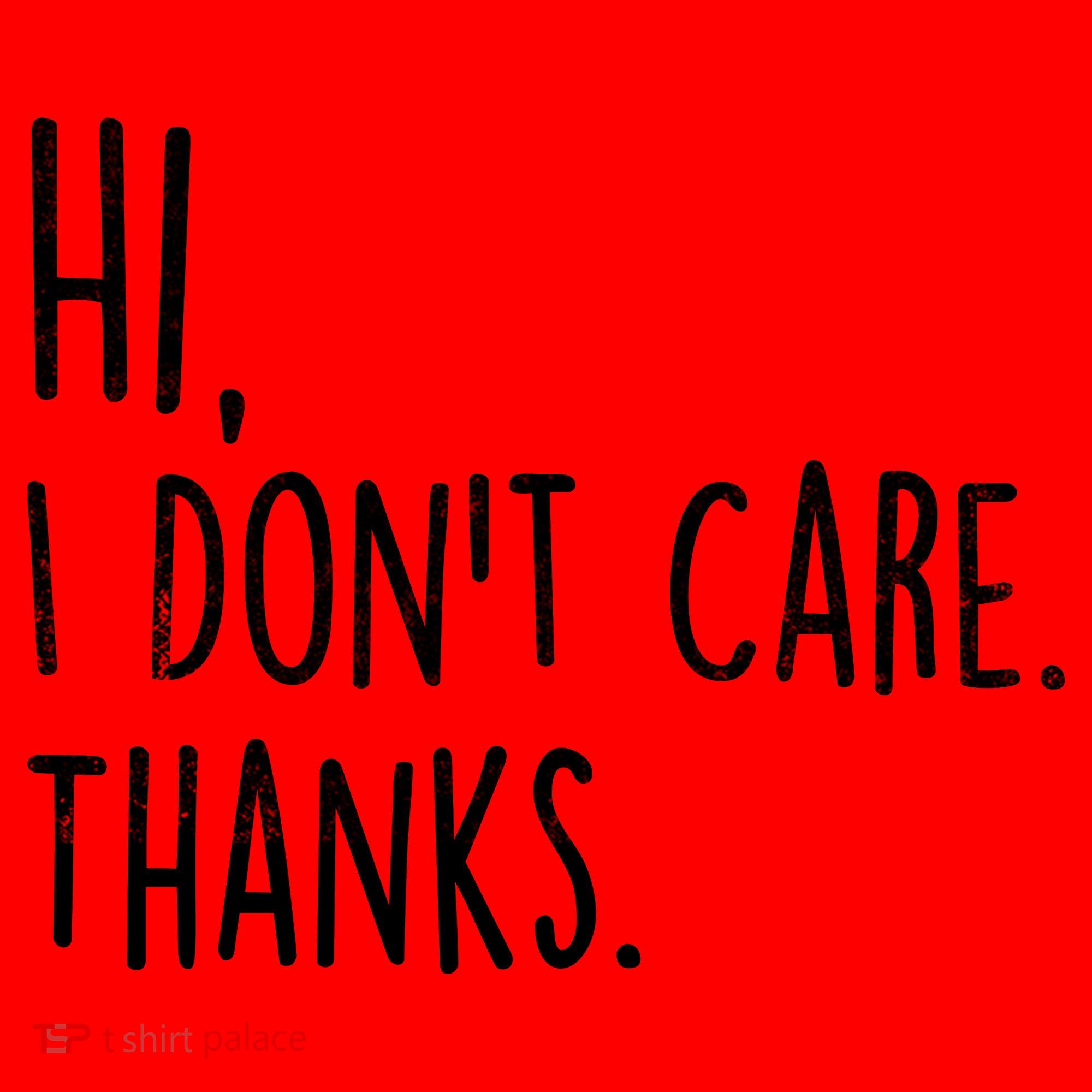 Hi, I Don't Care. Thanks Funny Sarcastic Humor Tee Santa Hat