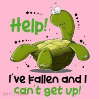 Help I've Fallen And I Can't Get Up Funny Turtle Visor thumb 3