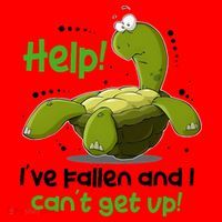Help I've Fallen And I Can't Get Up Funny Turtle Santa Hat thumb 1