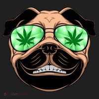 High Off Weed Smiling Pug Beanie thumb 2