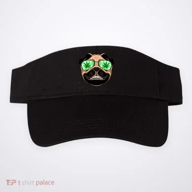 Visor