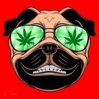 High Off Weed Smiling Pug Santa Hat thumb 1