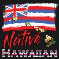 Hawaiian Islands Hawaii Flag Native Hawaiian Women's Hoodie thumb 2
