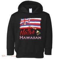 Hawaiian Islands Hawaii Flag Native Hawaiian Toddler Hoodie thumb 0