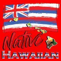 Hawaiian Islands Hawaii Flag Native Hawaiian Santa Hat thumb 1