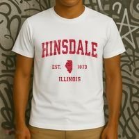 Hinsdale Illinois Il Vintage Sports T-Shirt thumb 3