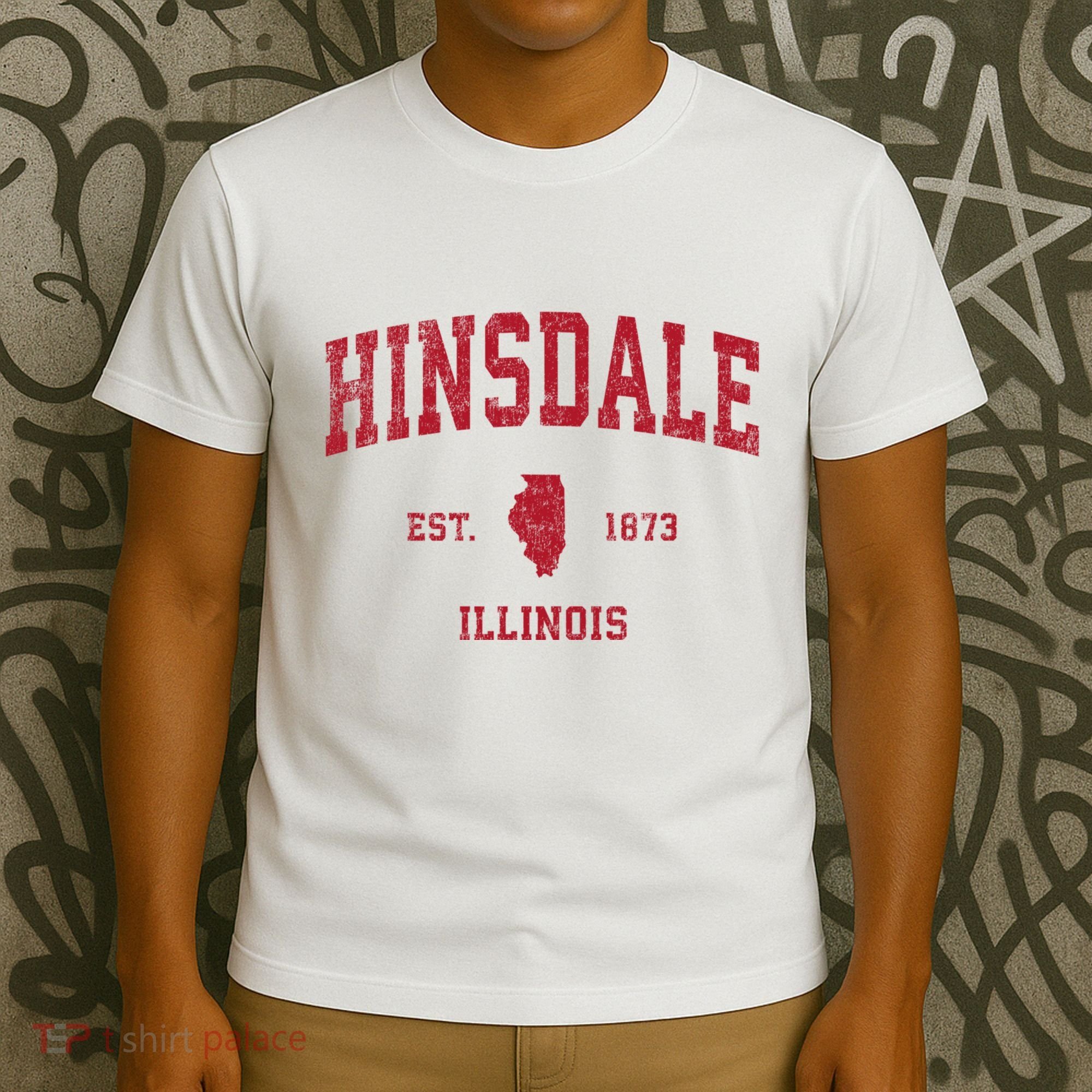 Hinsdale Illinois Il Vintage Sports T-Shirt