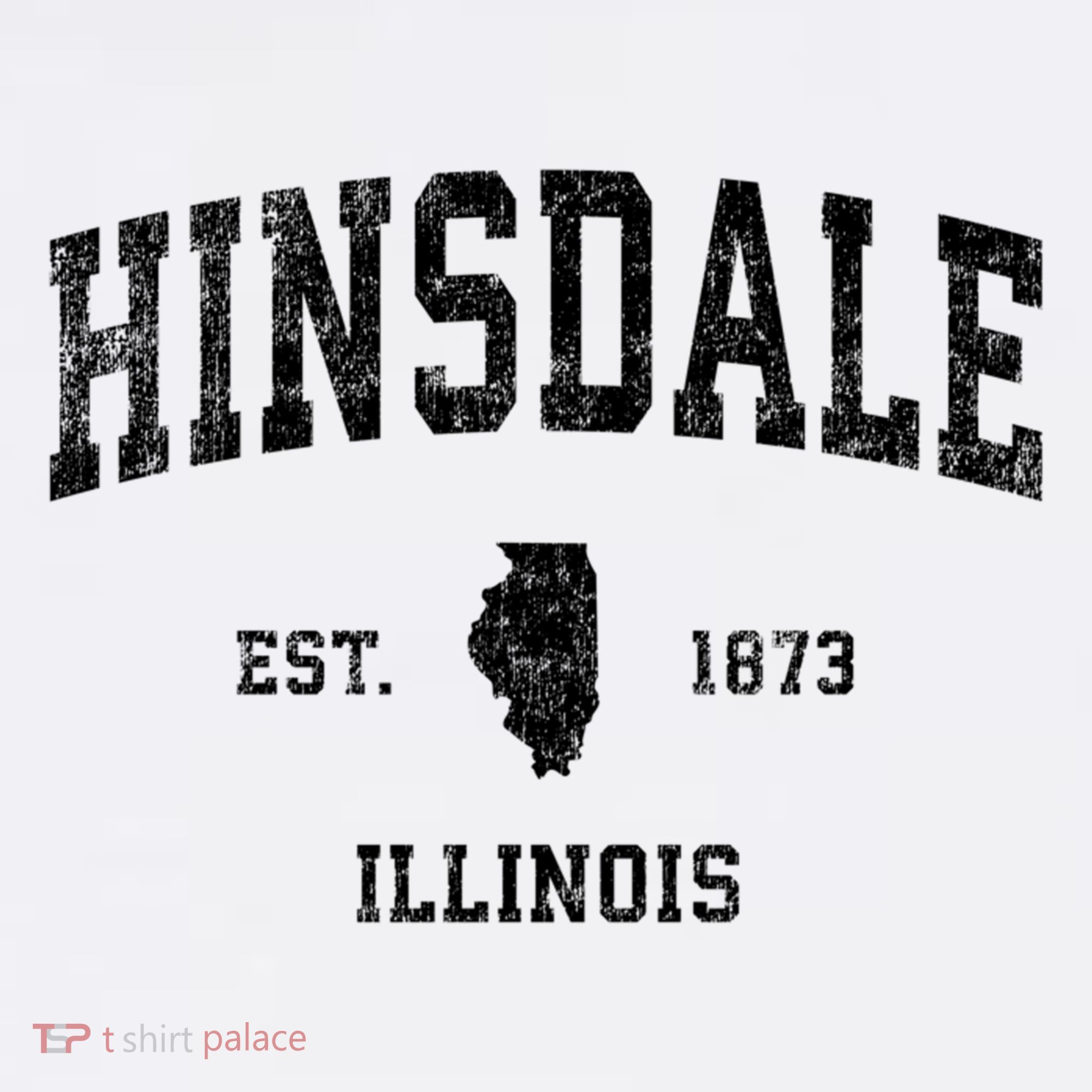 Hinsdale Illinois IL Vintage Sports Print T-Shirt