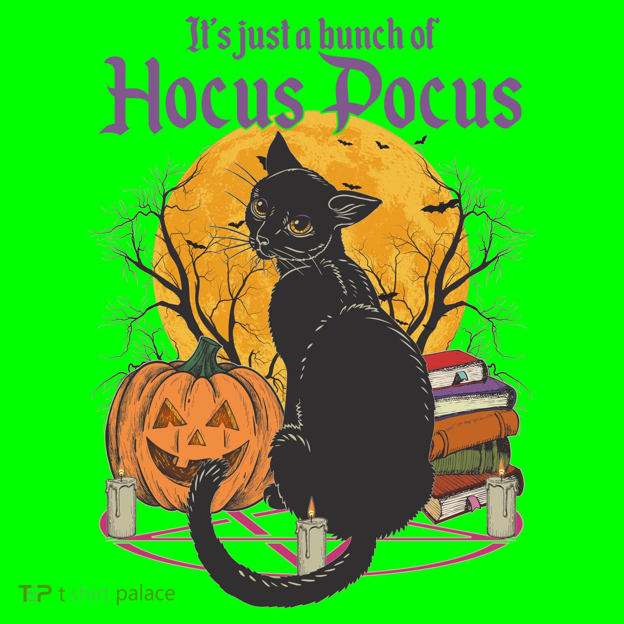 Halloween It's Just A Bunch Of Hocus Pocus Kids T-Shirt