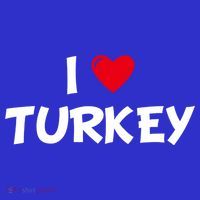 Heart I Love Turkey Cool Gift Sweatshirt thumb 3