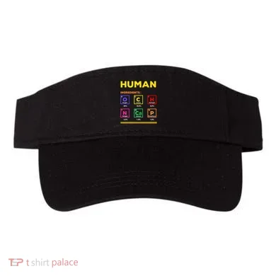 Visor