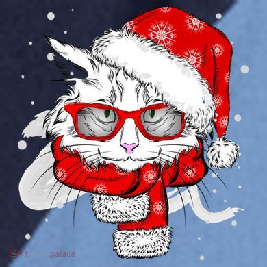 Hipster Christmas Cat Raglan Baseball Sleeve Shirt