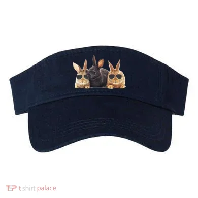Visor