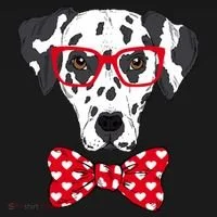 Hipster Dog Dalmatian Bucket Hat thumb 4