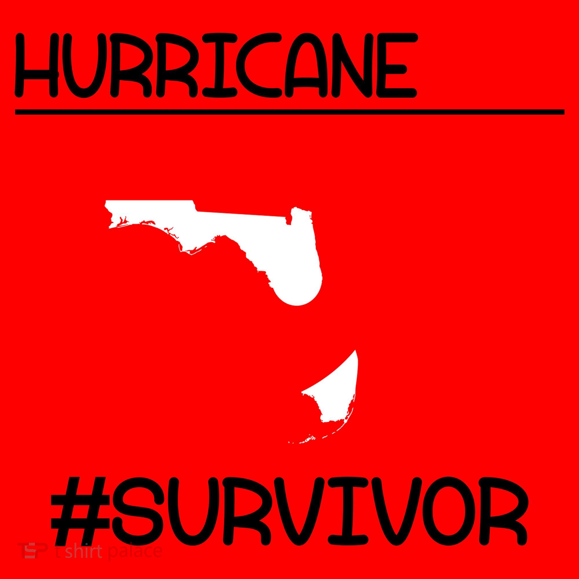 Hurricane Ian Survivor Florida Map Santa Hat