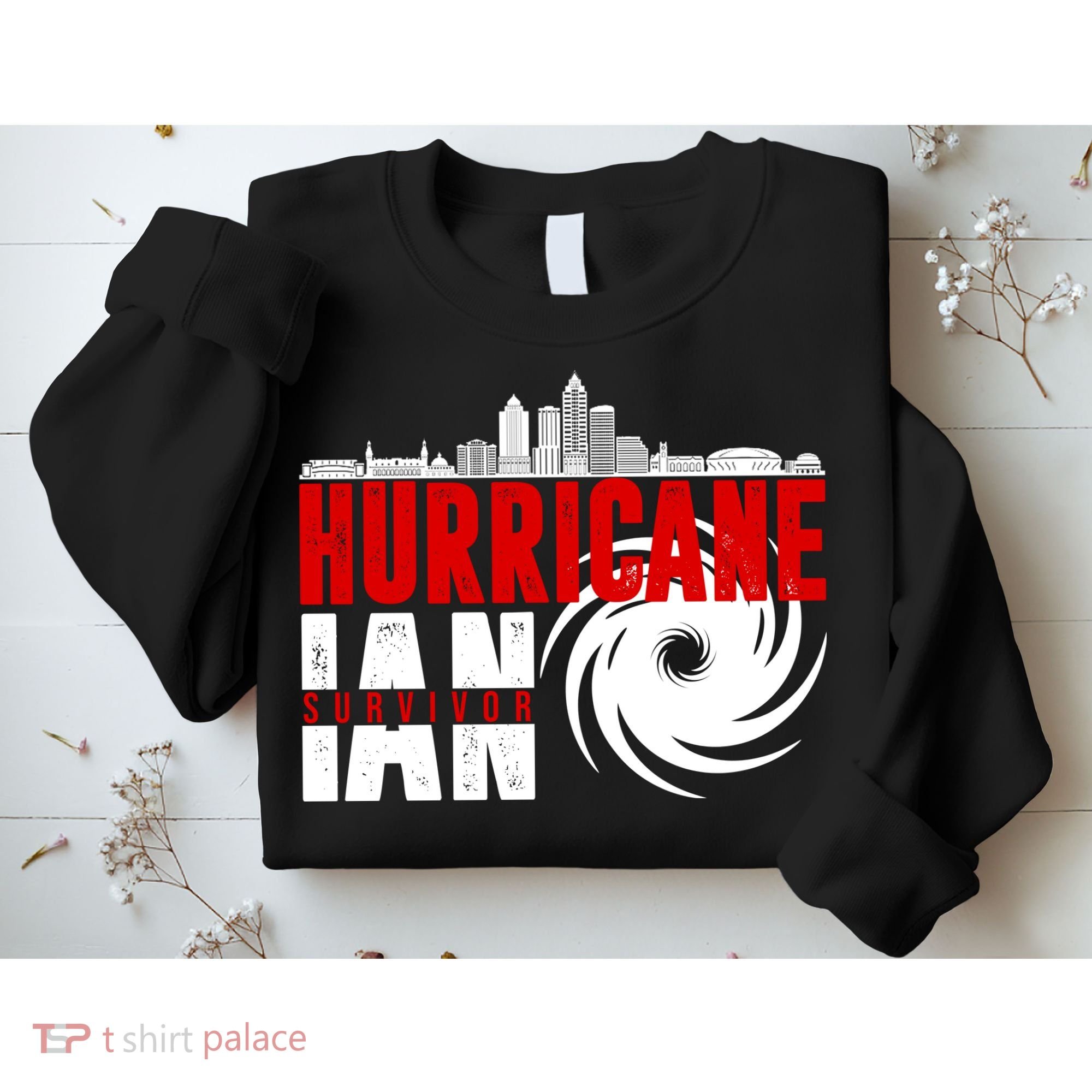 Hurricane IAN Survivor Sweatshirt